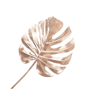 Onwho Leaf 1
