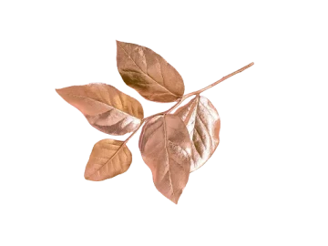 Features Leaf