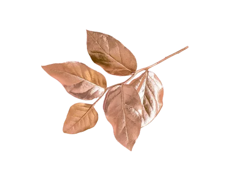 Features Leaf
