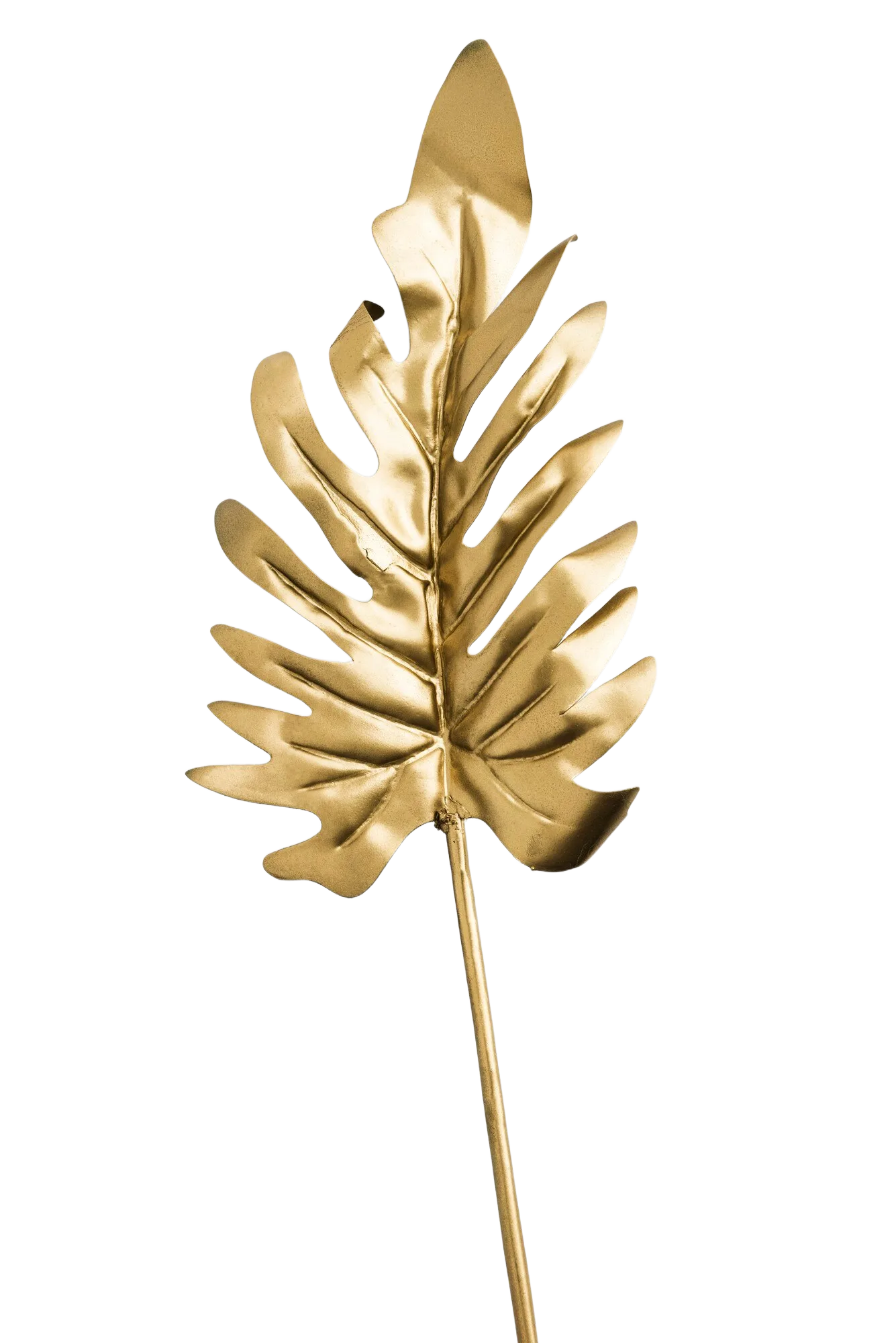 Footer Leaf